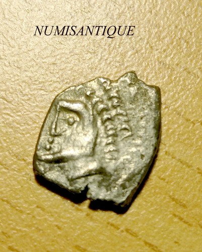 Languedoc rutenes - ~,