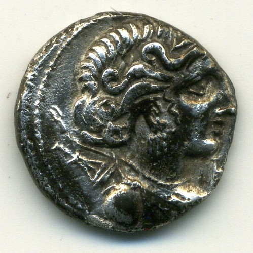 Rare massalia - -massalia,